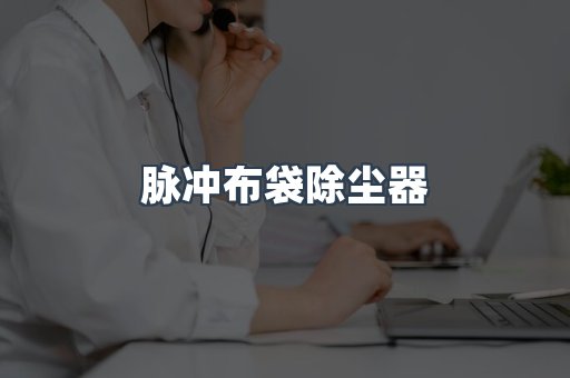 脉冲布袋除尘器